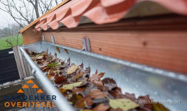 Dakgoot vol bladeren die gereinigd moet worden in Overijssel