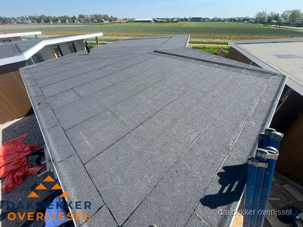 Nieuw bitumen plat dak met uitzicht over landschap in Overijssel
