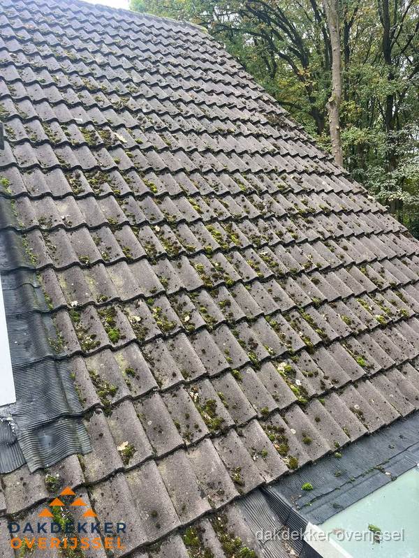Verweerd pannendak met mosgroei dat renovatie nodig heeft in Overijssel