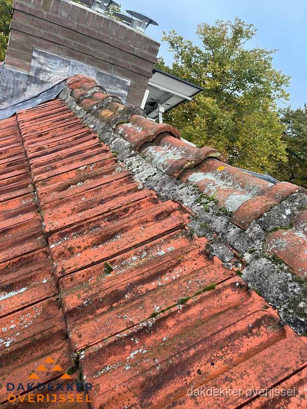Verweerd hellend dak met mosgroei op nokvorst in Overijssel