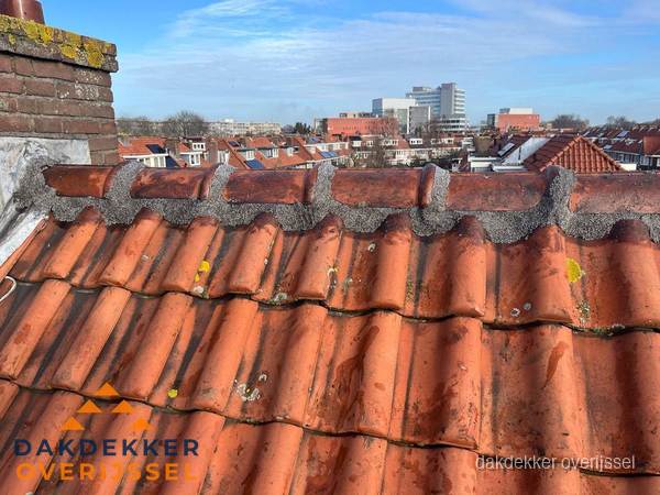 Pannendak met nokvorst en schoorsteen, dakrenovatie in Overijssel